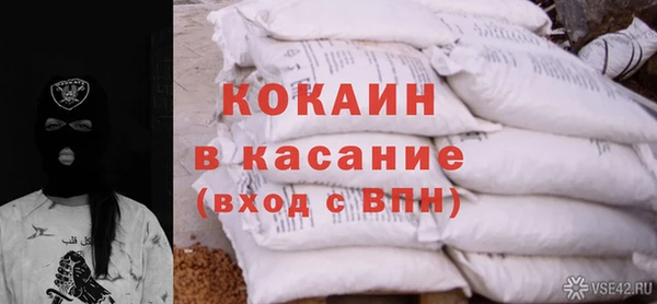 крисы Бронницы