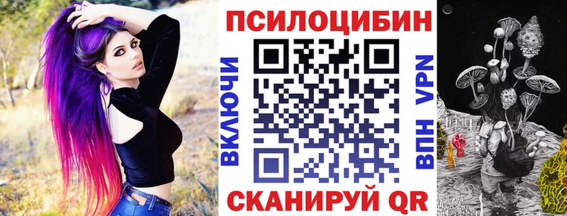 магазин  наркотиков  гидра ссылка  Псилоцибиновые грибы прущие грибы  Дудинка 